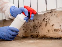 Best Residential Mold Inspection & Testing in Spencer, IN